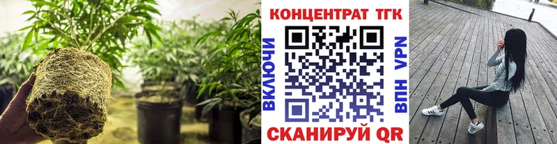 как найти наркотики  Строитель  Дистиллят ТГК концентрат 