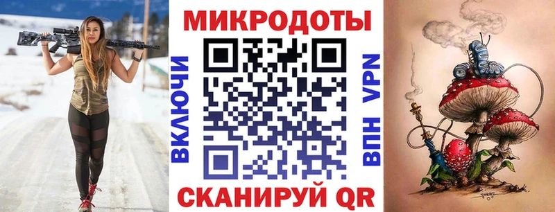 blacksprut зеркало  Строитель  Псилоцибиновые грибы Psilocybe 