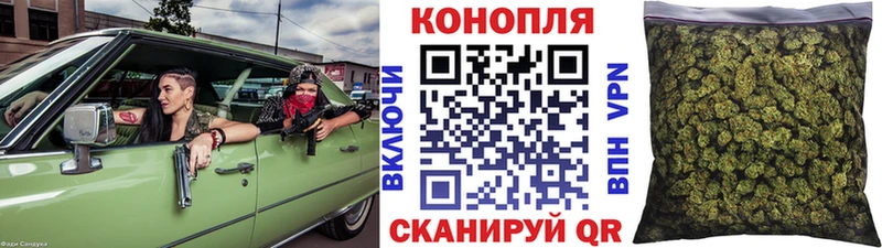 Каннабис семена  закладка  Строитель 